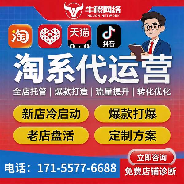 淮南电商代运营