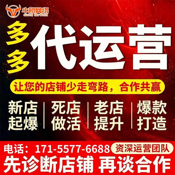 淮南电商代运营