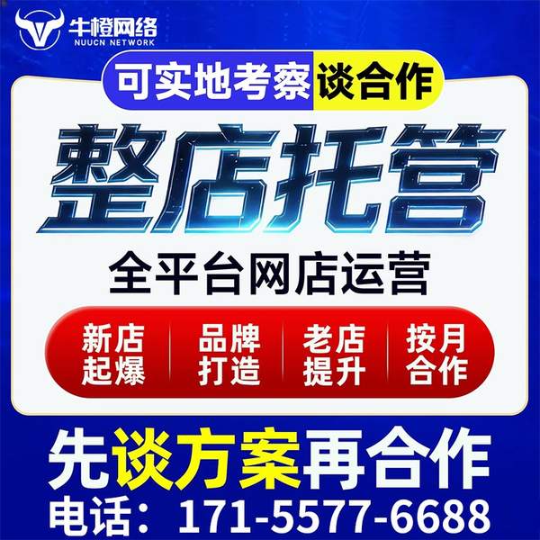 淮南电商代运营
