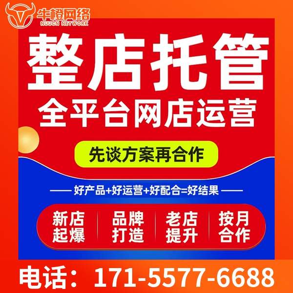 淮南电商代运营
