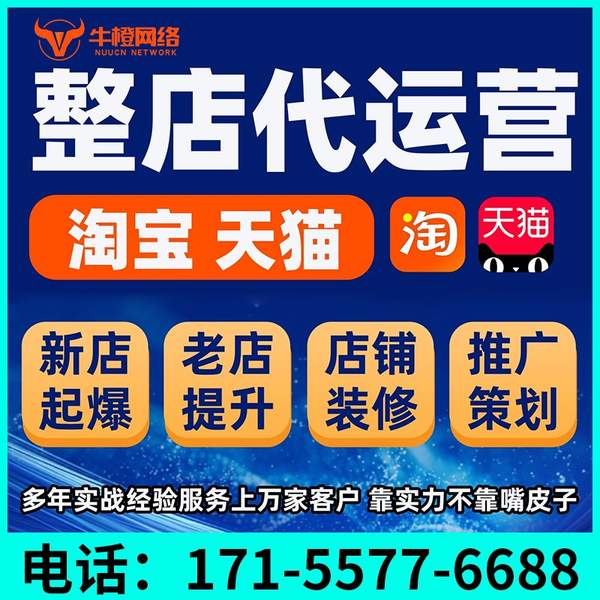 淮南电商代运营
