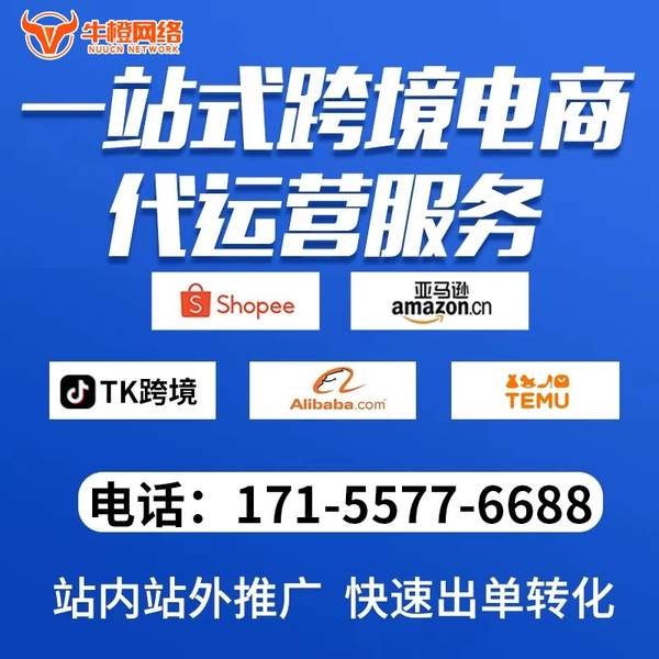 淮南电商代运营