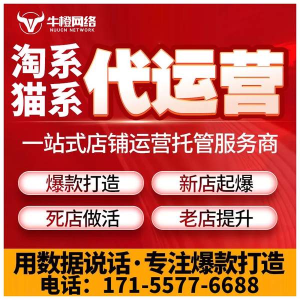 淮南电商代运营